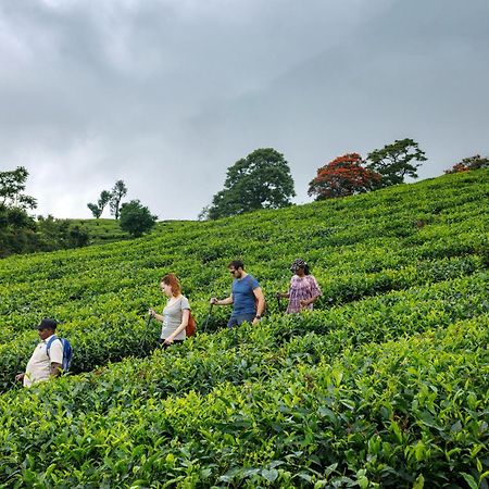 Amber Dale Luxury Hotel & Spa, Munnar Zewnętrze zdjęcie