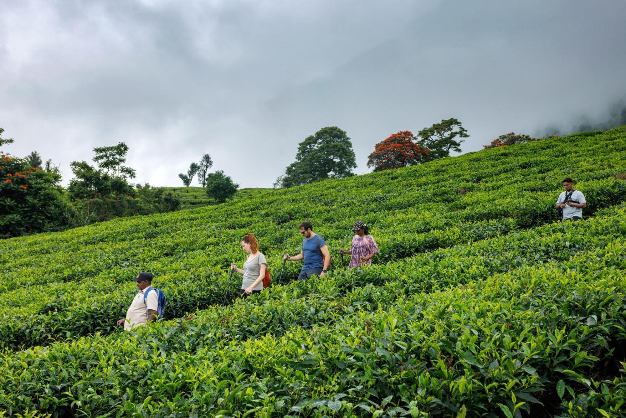Amber Dale Luxury Hotel & Spa, Munnar Zewnętrze zdjęcie