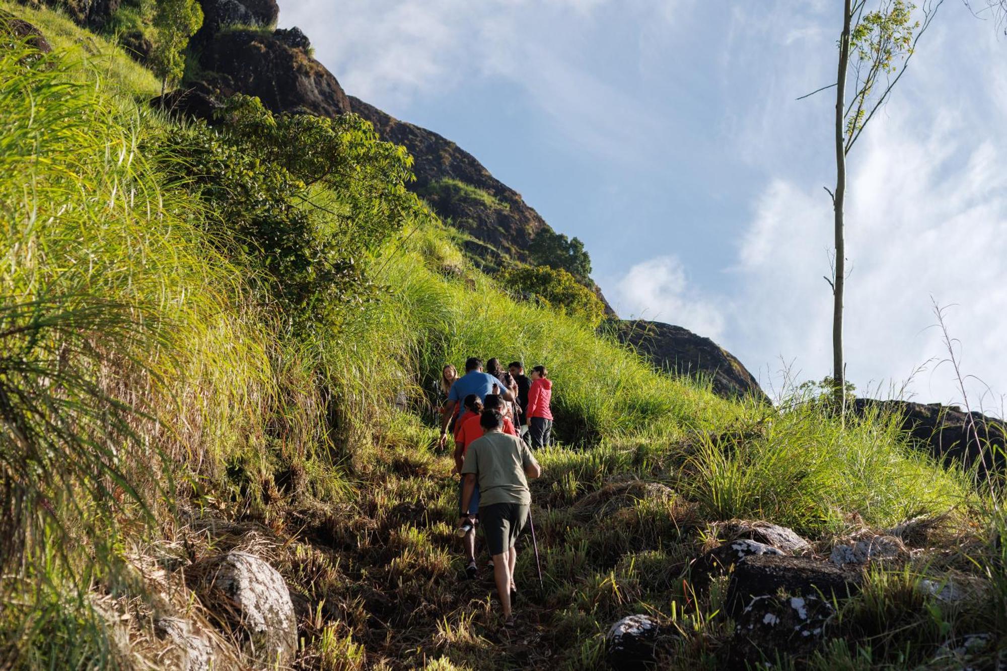 Amber Dale Luxury Hotel & Spa, Munnar Zewnętrze zdjęcie