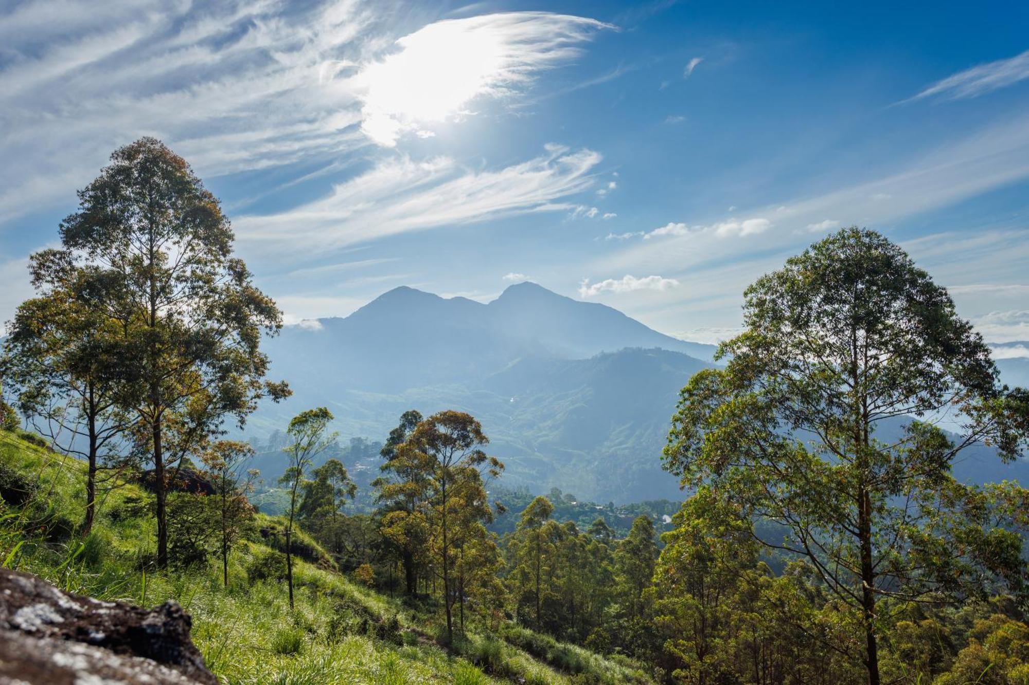 Amber Dale Luxury Hotel & Spa, Munnar Zewnętrze zdjęcie