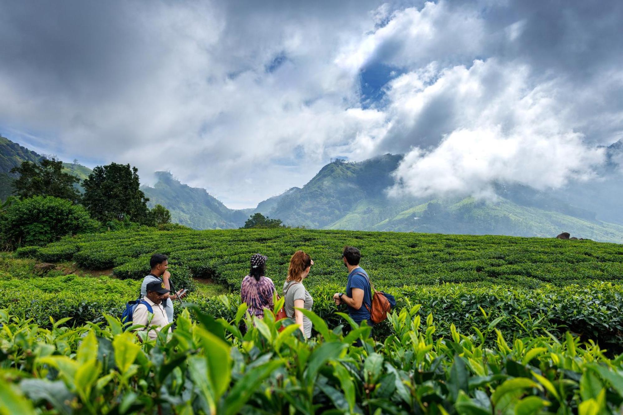 Amber Dale Luxury Hotel & Spa, Munnar Zewnętrze zdjęcie