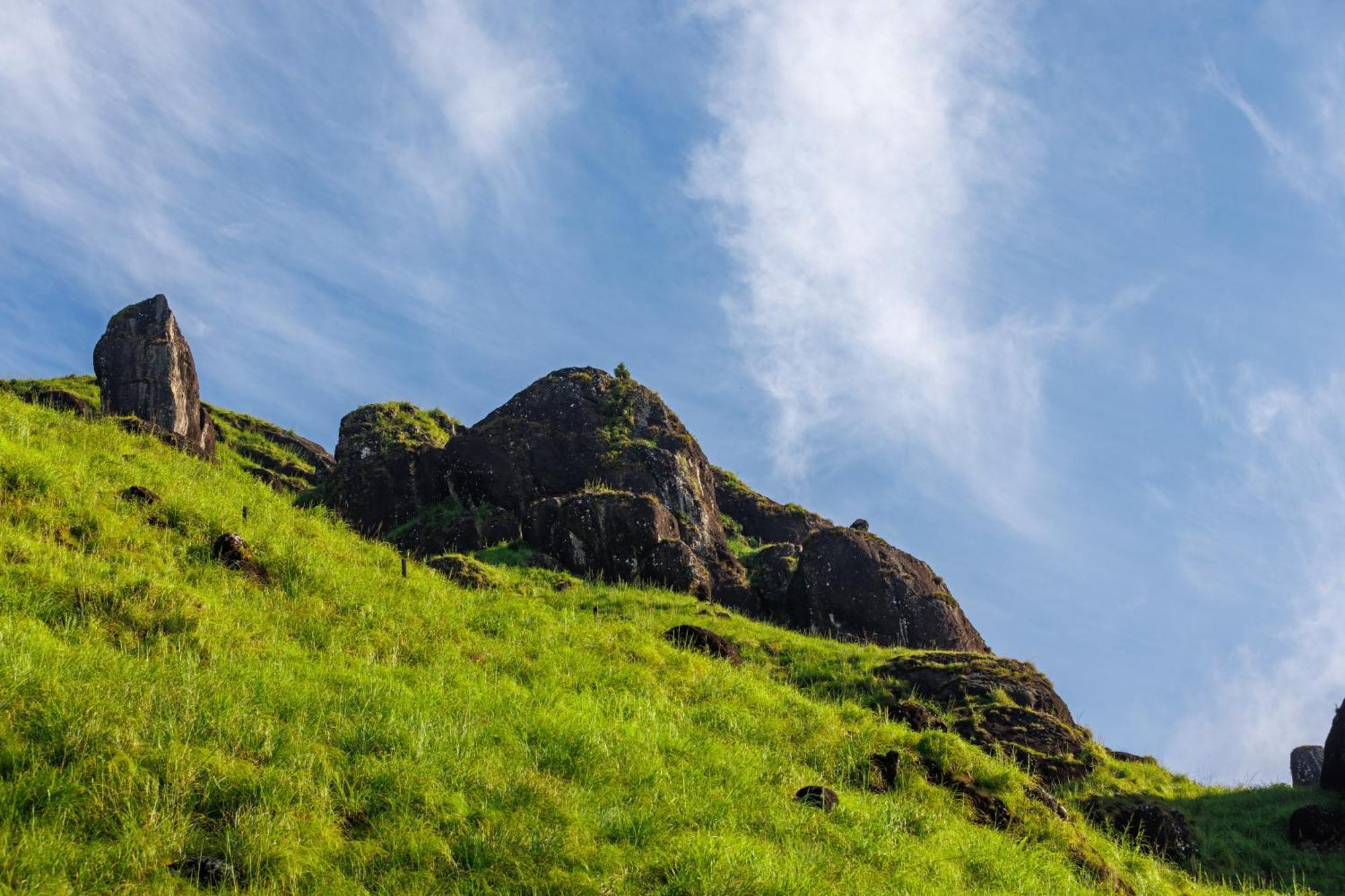 Amber Dale Luxury Hotel & Spa, Munnar Zewnętrze zdjęcie