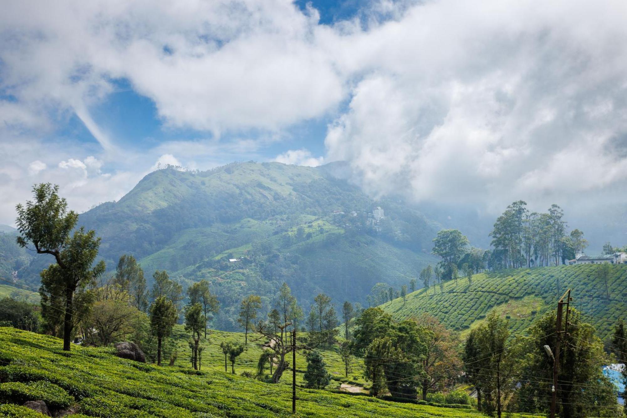 Amber Dale Luxury Hotel & Spa, Munnar Zewnętrze zdjęcie