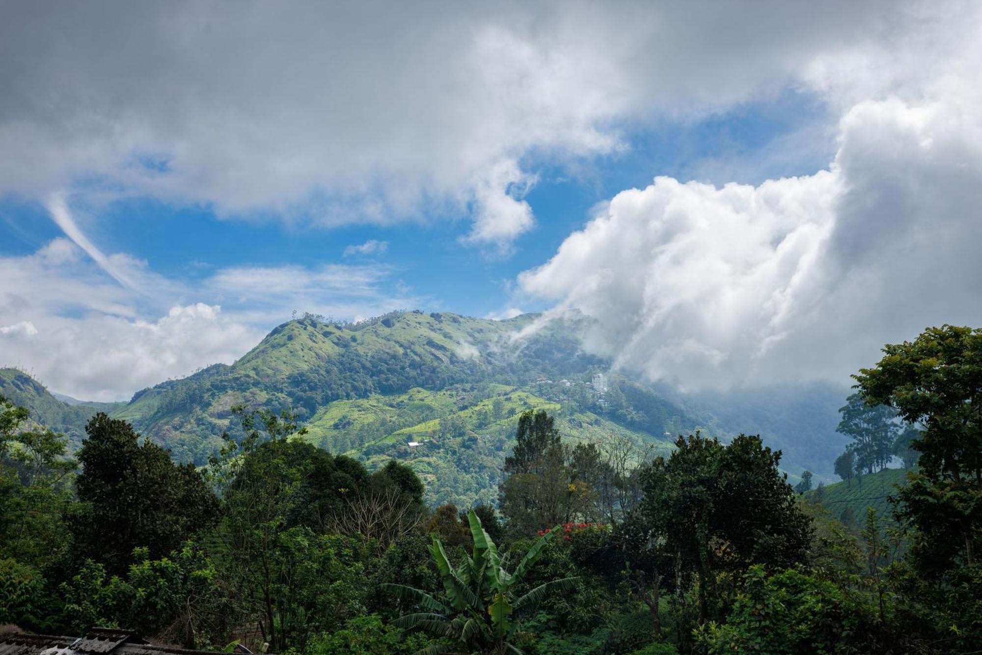 Amber Dale Luxury Hotel & Spa, Munnar Zewnętrze zdjęcie