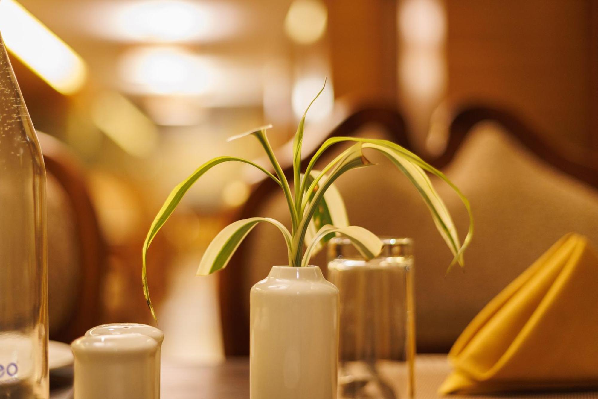 Amber Dale Luxury Hotel & Spa, Munnar Zewnętrze zdjęcie