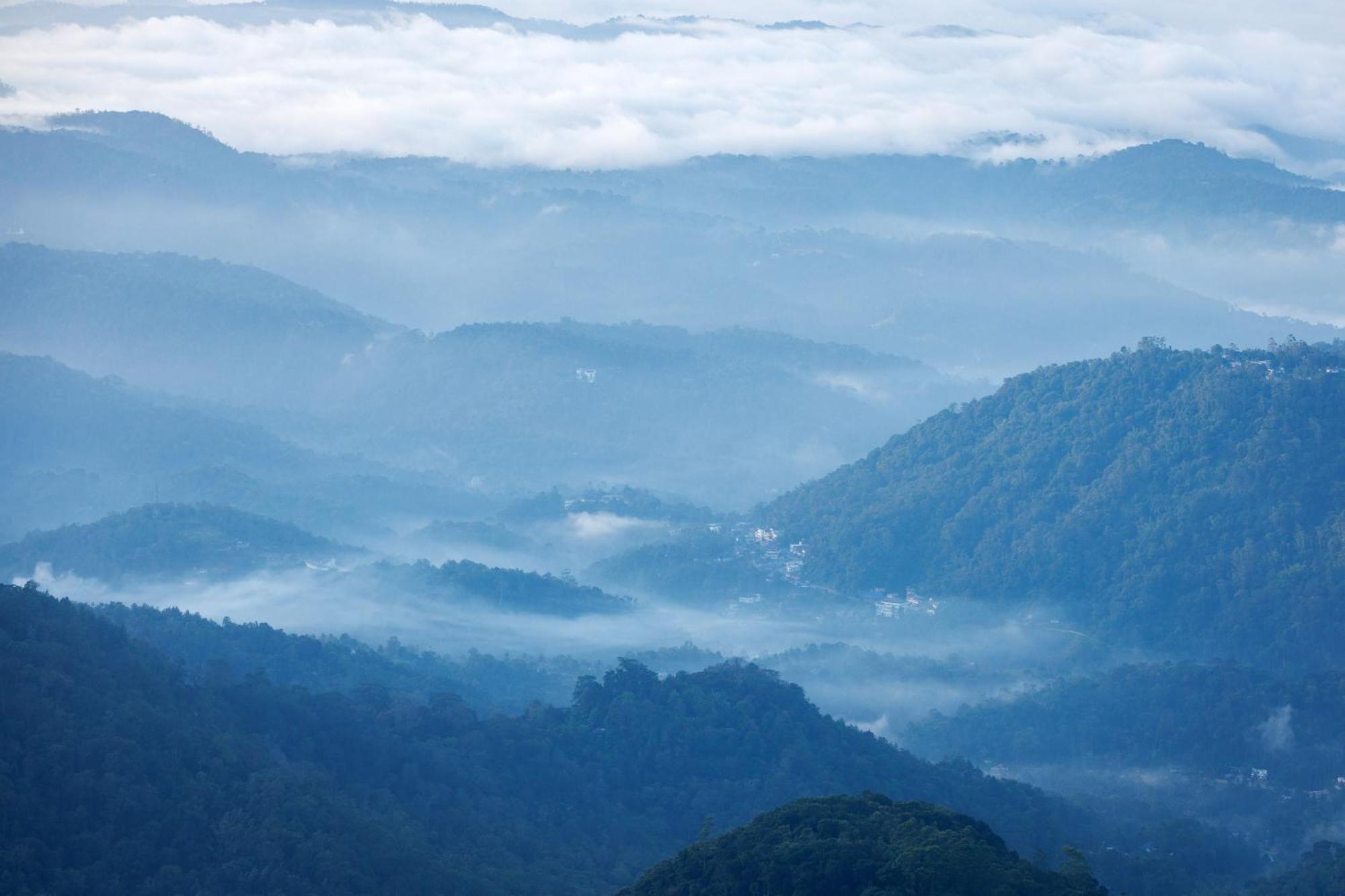 Amber Dale Luxury Hotel & Spa, Munnar Zewnętrze zdjęcie